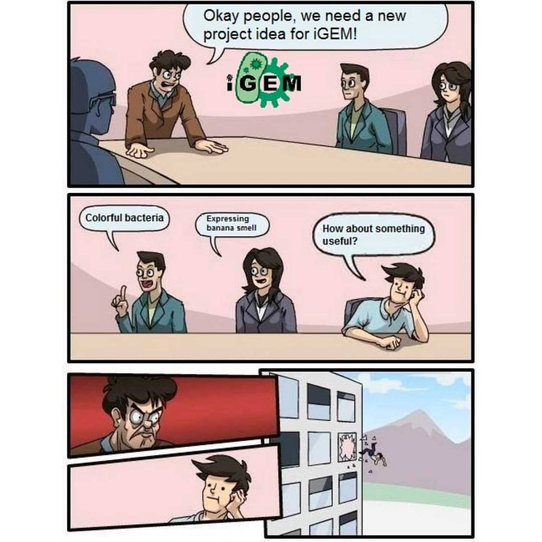 22104664_174687989761861_3215512435501005535_o