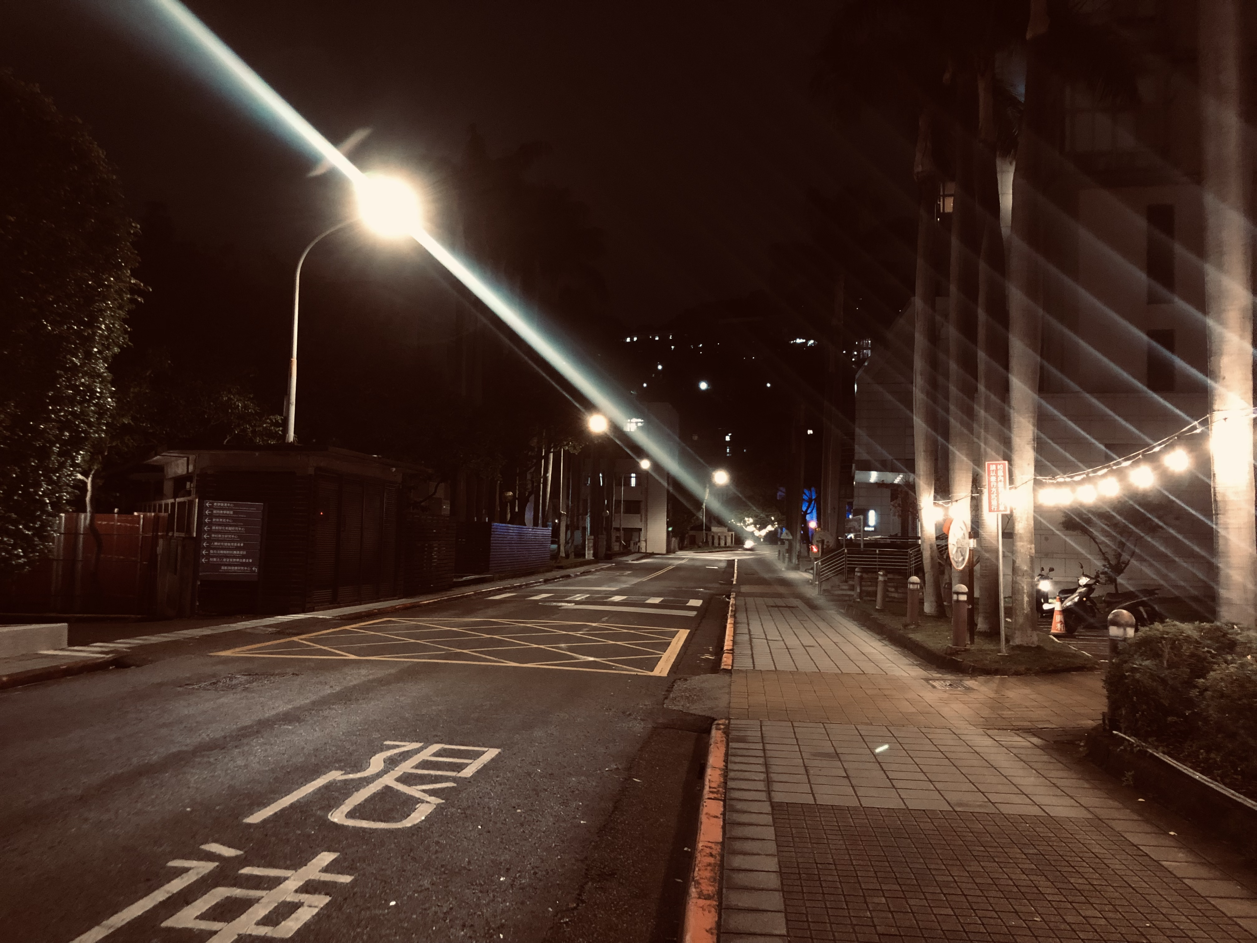 研究路程：起點、地圖與決心-寫在陽明交大醫學系醫師科學家組經驗分享會之後